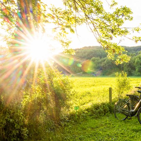 Stellplatz - "Schöne Aussicht"