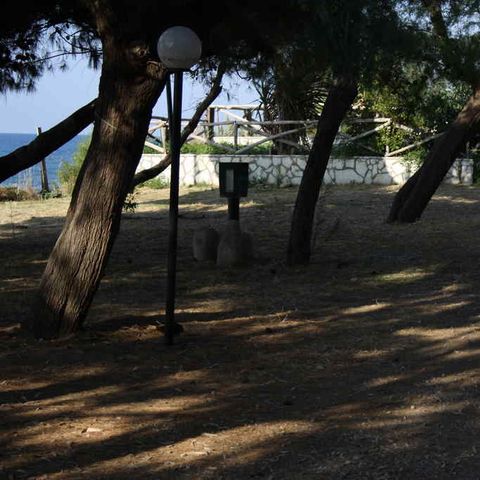 Kampeerplaats - Tent of caravan