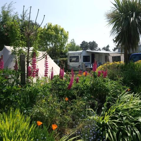 PLOT - Van/camping-car (Max 7m), caravan or tent package WITH electricity