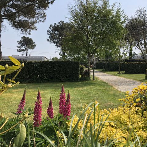 PARCELA - Paquete autocaravana, caravana o tienda CON electricidad - Vehículo + 7m