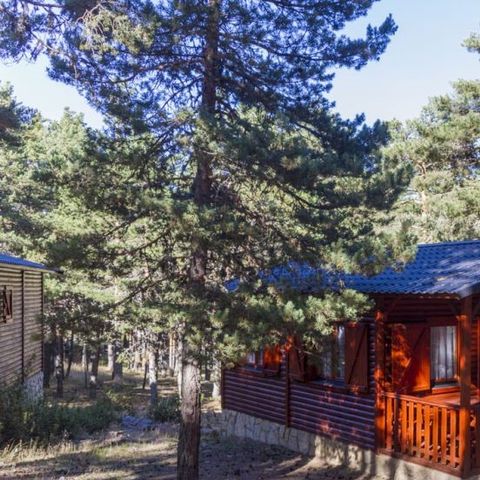 Bungalow 6 persons - N°6 Corralizas de Luxe