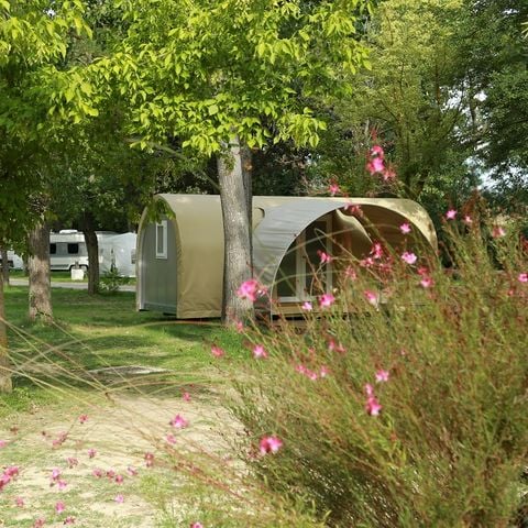 Tent 4 personen - Coco sweet (zonder sanitair)