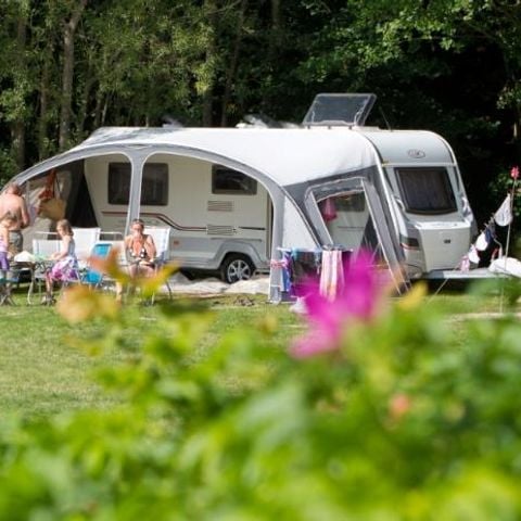 Kampeerplaats - Comfort standplaats