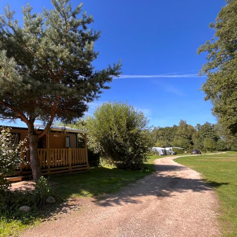 Bungalow 5 persons - Oak 28 m² with semi-covered wooden terrace