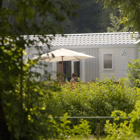 Bungalow 6 persons - Bungalow Chestnut 32 m² with wooden terrace