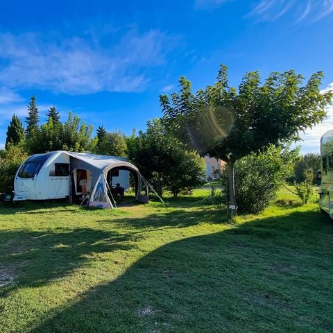 Kampeerplaats - Natuur arrangement (1 tent, caravan of camper / 1 auto)