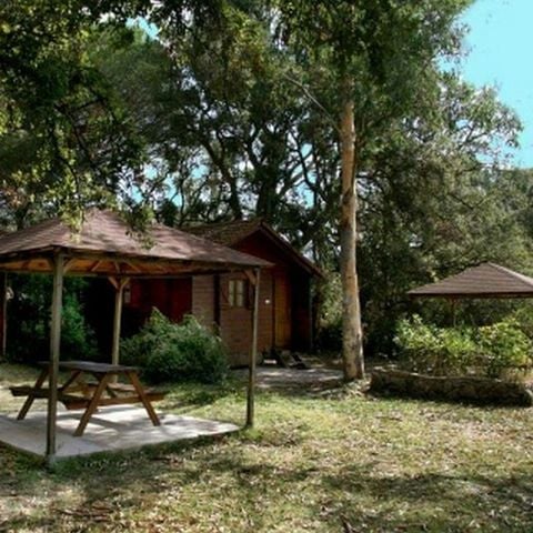 CHALET 5 people - Chalet Arbousier 5P+