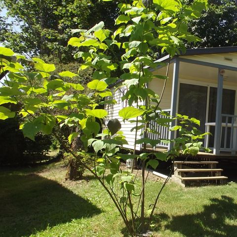 Stacaravan 4 personen - Stacaravan Marina ECO 24 m² 4 pers