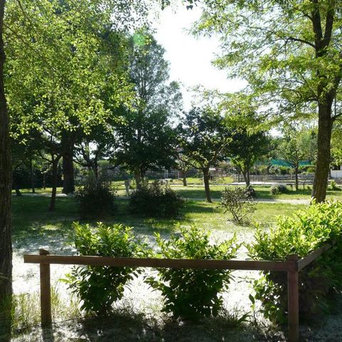 PIAZZOLA - PACCHETTO COMFORT (1 tenda, 1 caravan o 1 auto da campeggio + 1 auto + elettricità 10A)