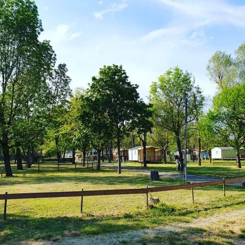 Pitch - COMFORT PACKAGE (1 tent, 1 caravan or 1 camping car + 1 car + 10A electricity)