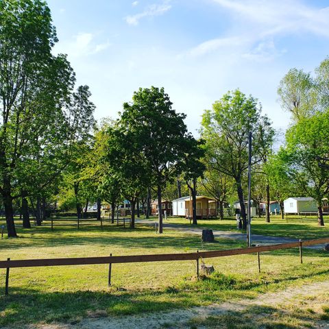 PIAZZOLA - PACCHETTO COMFORT (1 tenda, 1 caravan o 1 auto da campeggio + 1 auto + elettricità 10A)