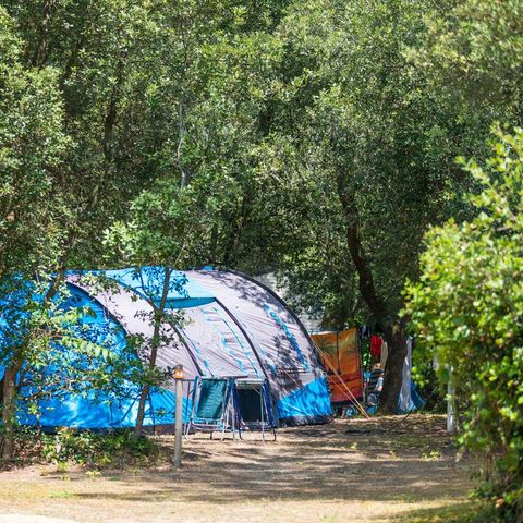 PARCELA - con electricidad