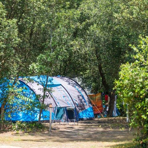 Stellplatz - Zelt mit Strom - Fußgängerzugang