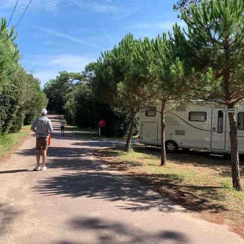 Camping La Côte Sauvage Camping La Côte Sauvage - Camping Charente-Maritime - Image N°34