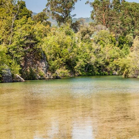 Camping Sole di Sari - Camping Corse du Sud - Image N°4