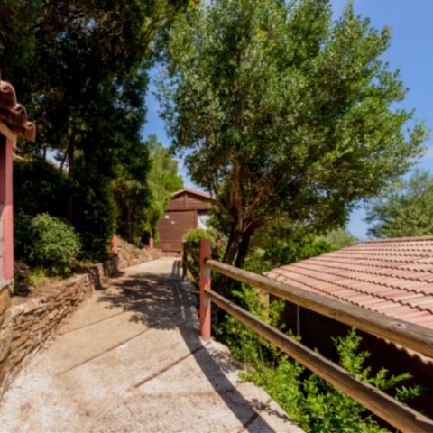 CHALET 6 people - Chalet Lodge 3 bedrooms