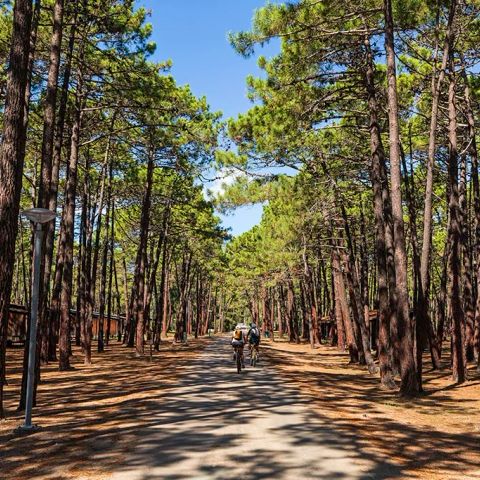 BUNGALOW 4 people - PINEDE 2/4 PERSONS