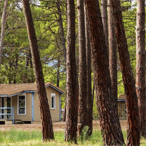 Chalet 4 Personen - KLIMAANLAGE 4 PERSONEN