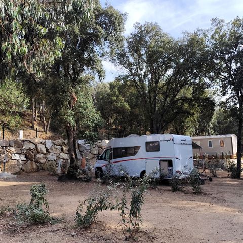 PLOT - Comfort motorhome (electricity - private water fountain)