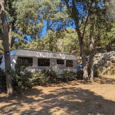 PLOT - Comfort motorhome (electricity - private water fountain)