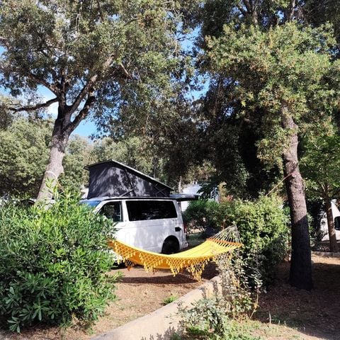 Pitch - Pitches: car + tent + electricity: 105 4* pitches including 11 for camper vans (V01-V11)