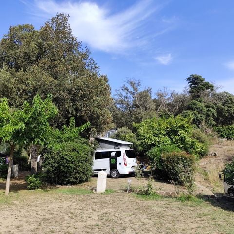 EMPLACEMENT - Emplacement : voiture + tente + électricité : 105 emplacements 4* dont 11 pour Camping car (V01-V11)