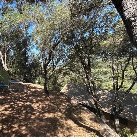 EMPLACEMENT - Emplacement : voiture + tente + électricité : 105 emplacements 4* dont 11 pour Camping car (V01-V11)