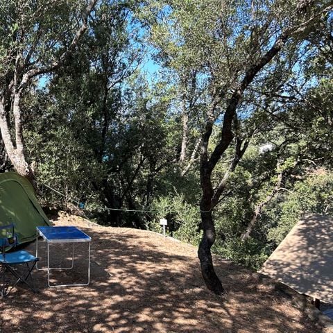 Pitch - Pitches: car + tent + electricity: 105 4* pitches including 11 for camper vans (V01-V11)