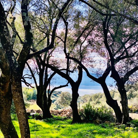 EMPLACEMENT - EMPLACEMENT CAMPING-CAR 2 PAX