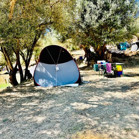 Kampeerplaats - TENT SITE + Auto + Elektriciteit