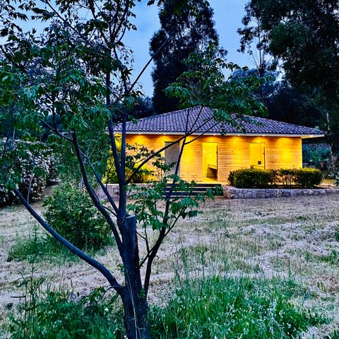 Pitch - TENT SITE + Car + Electricity