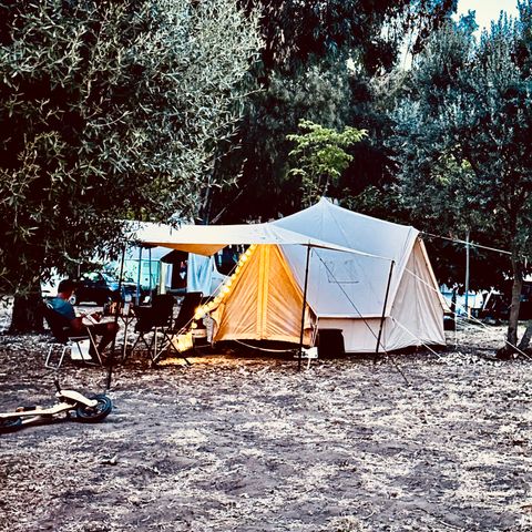 Kampeerplaats - TENT SITE + Auto + Elektriciteit