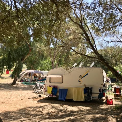 Pitch - CARAVAN SITE + ELECTRICITY