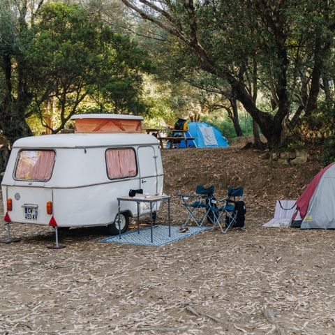 Kampeerplaats - CARAVANPLAATS + ELEKTRICITEIT