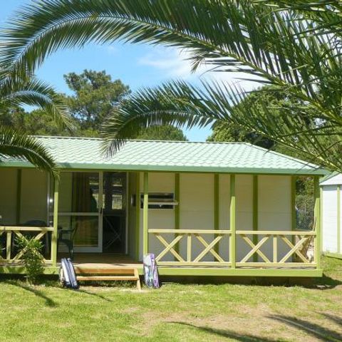 Camping U Libecciu Camping U Libecciu - Camping Corse du nord - Image N°10