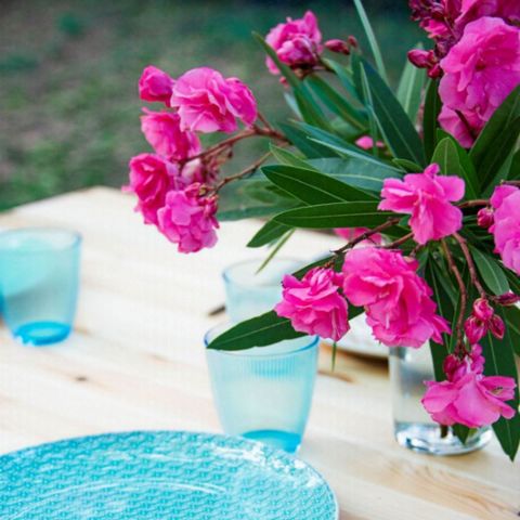 TENTE 4 personnes - Safari