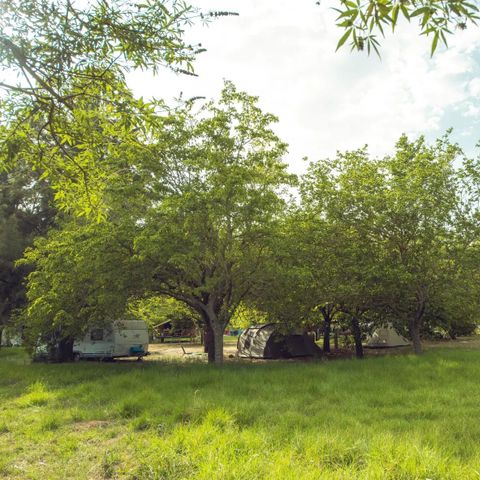 PIAZZOLA - Pacchetto di lancio