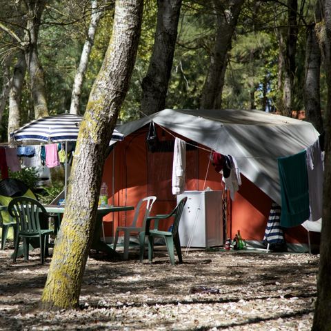 STAANPLAATS - Standplaats pakket
