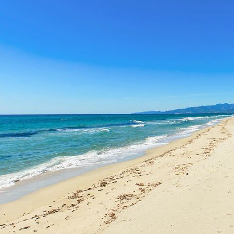 Camping U Casone Camping U Casone - Camping Corse du nord - Image N°2