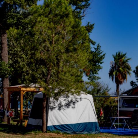 Kampeerplaats - Privilege pakket 100m² Berg
