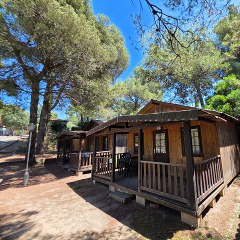 CHALET 2 people - Low Cost 1 room without bathroom