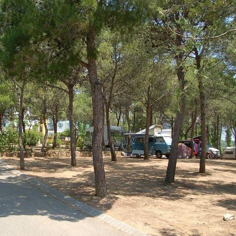 Pitch - Caravan / motor home pitch