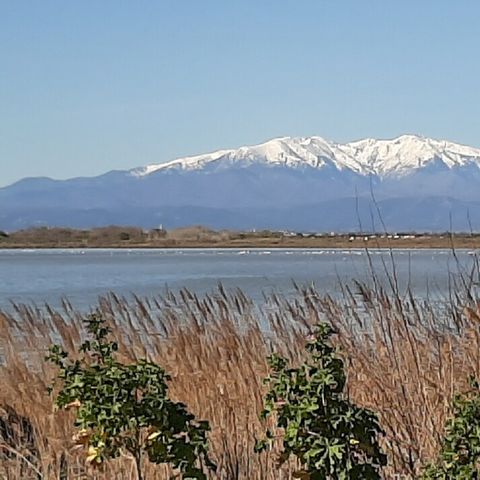 CASA MOBILE 8 persone - 3 camere da letto 2 bagni - 613 MFY