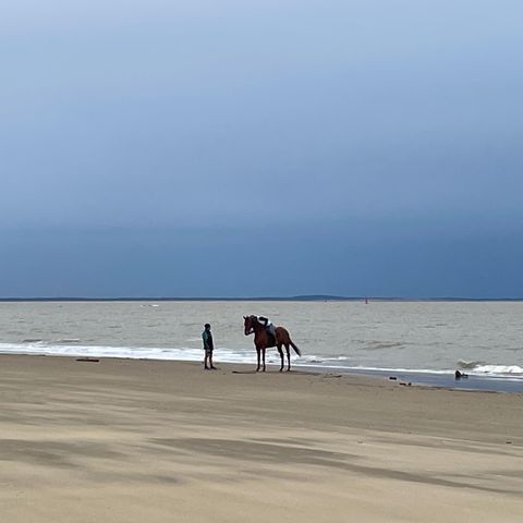 CASA MOBILE 6 persone - Casa mobile BA645 - 37m² - 3 camere da letto