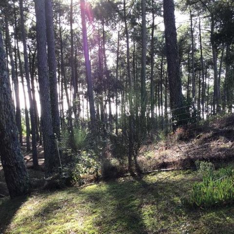 MOBILE HOME 8 people - Mobile home 3 bedrooms - 2 bathrooms - Contis AVENT3 MH 557