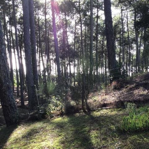 MOBILHOME 8 personas - Mobile home 3 dormitorios - 2 baños - Contis AVENT3 MH 557