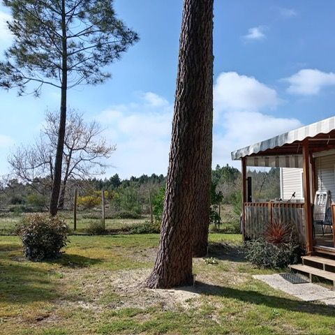 Stacaravan 8 personen - Stacaravan 3 slaapkamers - Contis BORA MH 199