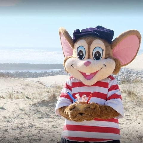 Tour Opérateur et particuliers sur camping Les Dunes de Contis - Funpass non inclus - Camping Landes - Image N°5