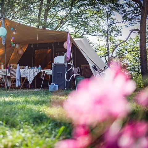 Tent 6 persons - Large De Waard tent - without sanitary facilities