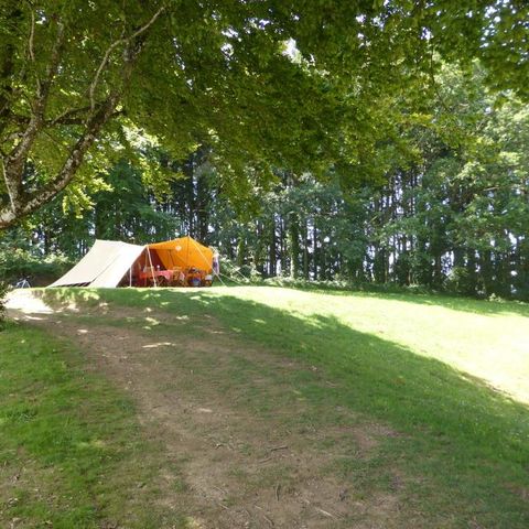 TENDA DA CAMPEGGIO 6 persone - Grande tenda De Waard - senza servizi igienici